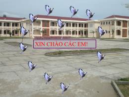 Bài giảng GDCD 12 - Bài 1: Pháp luật và đời sống