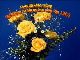 Bài giảng Ngữ văn 12 - Bài: Ai đã đặt tên cho