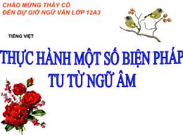 Bài giảng Ngữ văn 12 - Bài: Thực hành 1 số bi